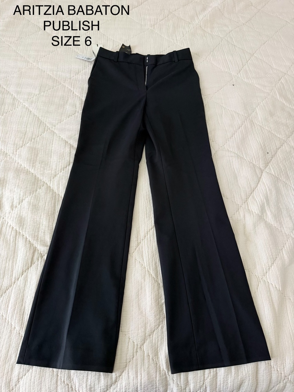 ARITZIA publish pants